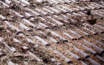 East Melbury roof cleaning companies