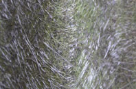 East Melbury fibreglass roof work